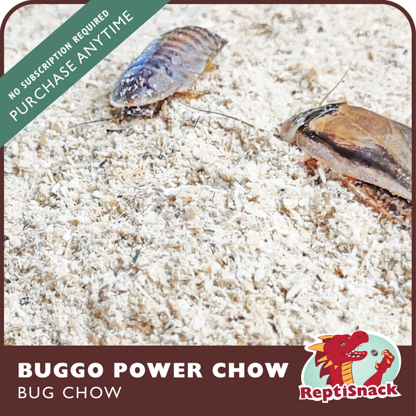 Buggo Power Chow