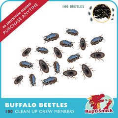 100 Buffalo Beetles