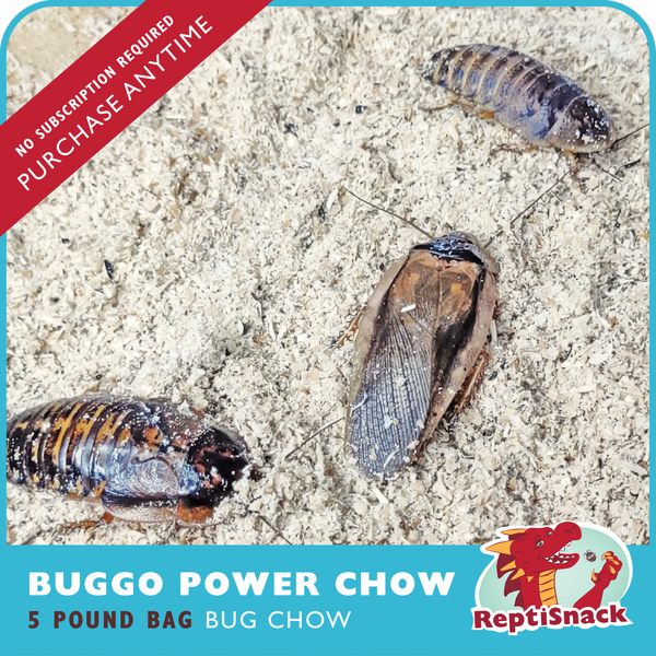 Buggo Power Chow - Five Pounds