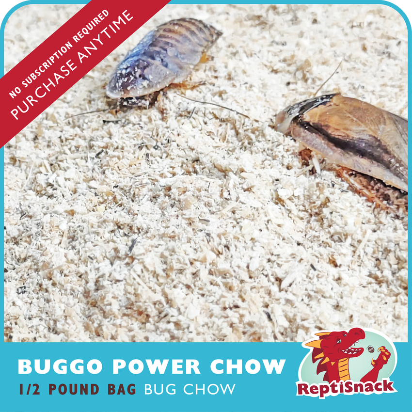 Buggo Power Chow - Half Pound