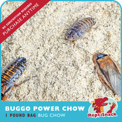 Buggo Power Chow - One Pound